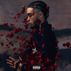 亚洲人妻无玛视频
