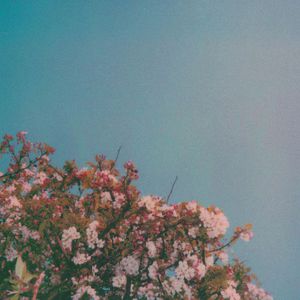 亚洲人妻无玛视频
